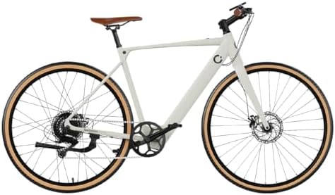 Bicicletta Elettrica da Città Sprint. 250W, Bici Elettrica per Adulti, Ruote 28", Autonomia 70 Km, Batteria 360 Wh, Cambio 8 Velocità, Doppio Disco Freno Idraulico