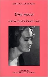 Ursa minor