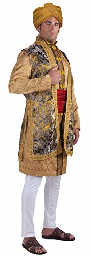 Adult Maharaja Costumes - Halloween Costumes by HCFS Maharaji Turban