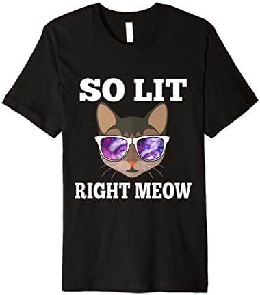 Mens So Lit Right Meow Cat Festival Rave T Shirt XL Black