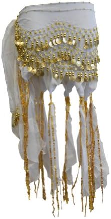 Belly Dance Hip Scarf Sash with Sequins Tassels Skirt Gold Coins