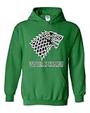 Artix Winter is Coming Unisex Hoodie Sweatshirt