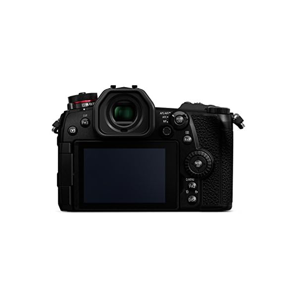 Panasonic Lumix DC-G9MEG-K Systemkamera mit 12-60mm Objektiv (20 MP, 4K/6K, Dual I.S., Staub und Spritzwasserschutz, schwarz) – Bild 7