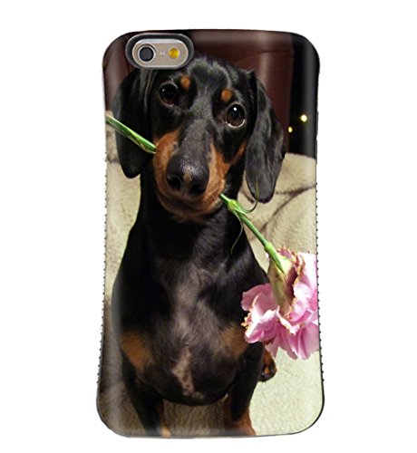 Dachshund Weiner Dox Doxie Sausage Hot Dog Long Short Hair Dog