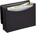 AmazonBasics Expanding Organizer File Folder, Letter Size - Black