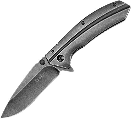 Kershaw Filter (1306BW) Folding Pocket Knife with 3.2-Inch BlackWashed High-Performance Steel Blade, Stainless Steel Handle, Deep-Carry Pocketclip, Frame Lock and SpeedSafe Assisted Opening; 5 OZ1306BW Filter Knife with SpeedSafe