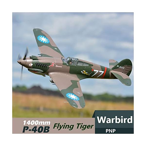 DBG 1400mm P-40 Warhawk Flying Tiger RC Flugzeug PNP-Skala Gaint Warbird Modell Flugzeug Flugzeug – Bild 6