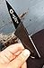 The Camp Out Co. Multifunctional Credit Card Sized Backpacking, Hiking, Camping, and Emergency Folding Knife