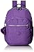 Seoul L Solid Laptop Backpack, Purple Feather