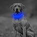 Domagiker LED Dog Collar Rechargeable - Waterproof Light Up Dog Collars, Adjustable Glow in The Dark Pet Collar, Safety Dog Lights for Night Walking (Large, Blue)