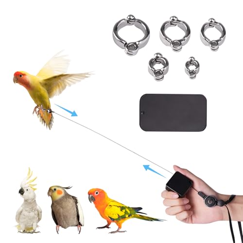 Swirge Bird Leash