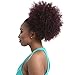 Sensationnel Synthetic Hair DrawString Ponytail Instant Pony Natural Afro 10