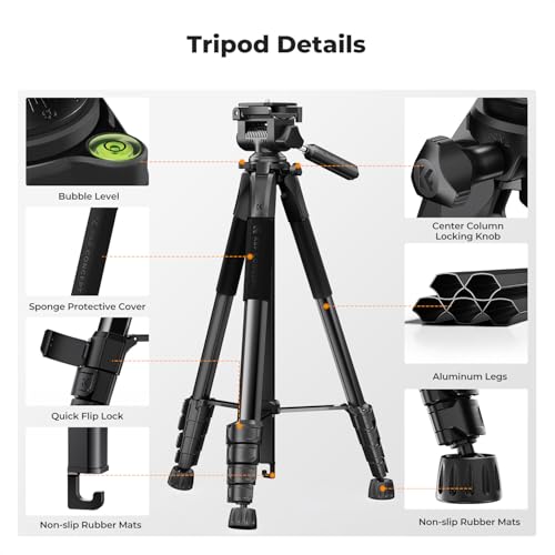 K&F CONCEPT 75" Lightweight Tripod, Camera Compact Tripod with Remote and 2-in-1 Phone Holder,Travel Phone Tripod with Removable 3-Way Pan Head for Selfie/Video Recording/Photo/Live Stream/Vlog