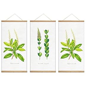 Hanging Poster with Wood Frames Beautiful Green Plants Home Wall Canvas Prints Ready to Hang - 18"x36"x3 Panels