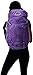 Osprey Women's Sirrus 50 Backpacks (2016 Model), Purple Orchid, Small/Medium