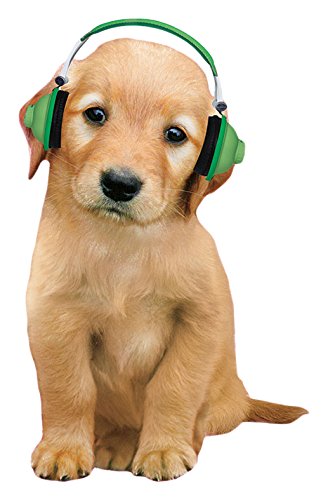 Sandylion DC7204 Roomscapes Poster Decal - 18