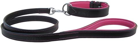 SafeX Leather Dog Collar & Leash Set (Black with Hot Pink Padding, Large (Fits Neck Size 18 inches - 21 Inches))