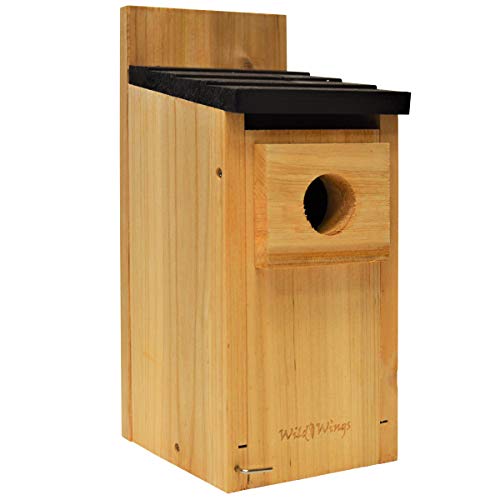 Wild Wings Cedar Blue Bird Box - Image 2
