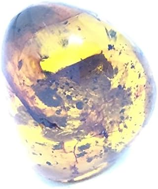 31.15 ct Natural Burmite Amber Insect (Untreated) 100 million years old