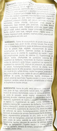 Royal Canin Persian Breed Dry Kitten Food, 3 lb. - //medicalbooks.filipinodoctors.org