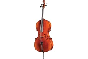 D Z Strad handmade Student Cello Model 101 w/Case, Bow and Rosin (4/4 - Full Size)