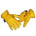 Kim Yuan Winter Warm Work Gloves 3M Thinsulate Lining Perfect for Gardening/Cutting/Construction/Motorcycle 1 Pair (XL, YELLOW)