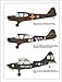 L-Birds: American Combat Liaison Aircraft of World War II