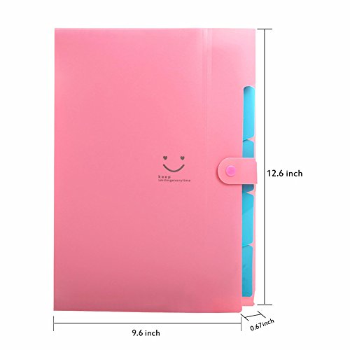 Classification Folders Portable File Folder Tabs Lateral File Folders Accordion File Jackets