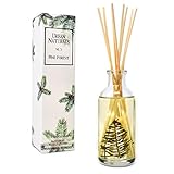Urban Naturals Pine Forest Reed Diffuser Oil with Bamboo Reed Sticks | Pine Needles, Eucalyptus, Juniper Berries & Balsam Fir | Christmas Tree Scent | Holiday Decor with Real Frasier Fir Branches