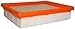 FRAM Extra Guard CA3916 Replacement Engine Air Filter for Select Buick, Chevrolet, Oldsmobile, and Pontiac Models, Provides Up to 12 Months or 12,000 Miles Filter Protection