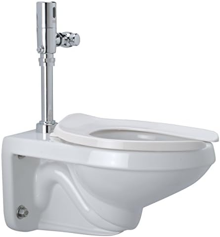 Zurn Z5615 213 00 00 00 1 28 Gpf Wall Hung Elongated Toilet System With Exposed Battery Flush Valve Buy Online At Best Price In Uae Amazon Ae