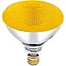 100 Watt, 120 Volt Yellow Flood BR38 Incandescent Bug Light Bulb (Pack of 2) primary