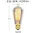 Vintage Edison Light Bulbs (6 Pack), 60W, ST64, E26, Squirrel Cage, Dimmable, Clear Glass, Industrial Vintage Incandescent Bulbs