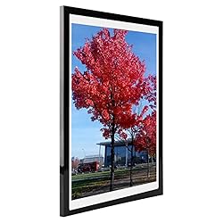 Medog 11x17 9x15 Picture Frame Black Poster Frame