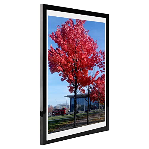 Medog 11x17 9x15 Picture Frame Black Poster Frame Set of 1 Display