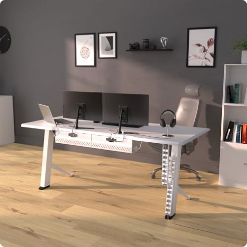 Under desk cable management raceway – Perfect for sit stand desk cable management – Flexible cable snake -Vertebrae cable management (White)