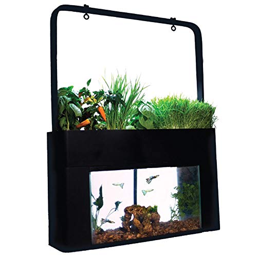 best aquaponic aquariums 2019 top 5 tested with pros & cons
