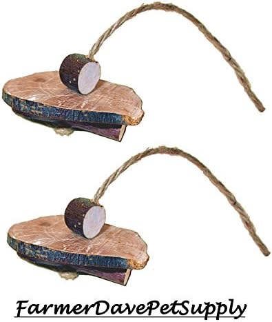 Apple Teeter Disk Toy for Small Animals - Dual Pack