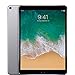 Apple iPad Pro 10.5in with ( Wi-Fi + Cellular ) - 2017 Model - 256GB, SPACE GRAY (Renewed)