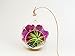 Mini Air Plant Terrarium with 3" Glass, Fuchsia Moss, White Rocks and Snowflake Obsidian