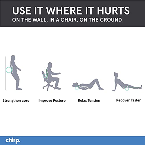 Chirp Wheel Back Stretcher w/SweatResistant Foam Padding, 12" Gentle