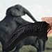 Animal Dildo, Realistic Oversized Elephant Penis Cock Dong Christmas Gifts Female Masturbator Vaginal Massage for Women