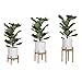 Sona Home Adjustable Mid Century Plant Stand, 3 Sizes, 3 Colors - Modern Plant Stand Indoor Outdoor, Planter Stand Only (Large, Bamboo)