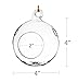 Sea View Treasures 6 Bulk 4” Round Glass Decorative Hanging Craft Balls/Terrarium