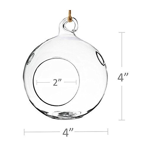 6 Bulk 4â€ Round Glass Decorative Hanging Craft Balls/Terrarium