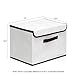 Furinno NW13203BG Non-Woven Fabric Soft Storage Organizer with Lid, Beige