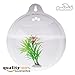 PMLAND Wall Mounted Acrylic Fish Bowl