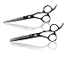 Saki Shears Katana Set of Professional Japanese Hair Shears with Black Finish - 6 Inches - Includes Cutting and Thinning Shears