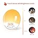 Wake Up Light, Alarm Clock with Recording Function, 7 Colors Night Light, Sunrise Simulation Snooze for Kids, Heavy Sleepers, FM Radio 8 Natural Sounds &30 Adjustable Bright