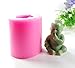 Allforhome(TM) Stereoscopic Baby Silicone Handmade Soap Mold Chocolate DIY Cake Decorating Moulds